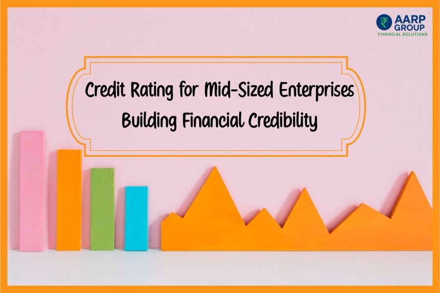 Credit Rating for Mid-Sized Enterprises Building Financial Credibility