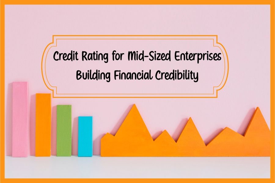 Credit Rating for Mid-Sized Enterprises Building Financial Credibility