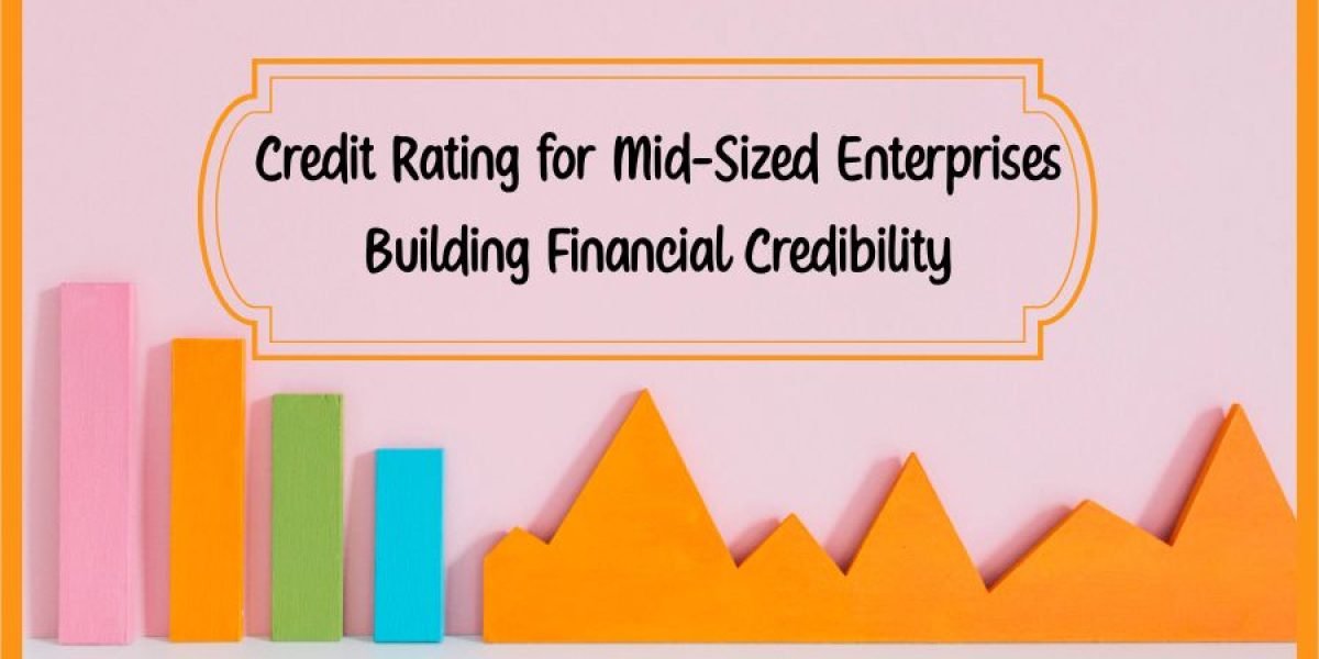 Credit Rating for Mid-Sized Enterprises Building Financial Credibility