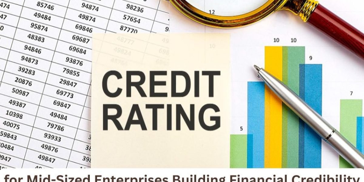 Professional Credit Rating Advisory: Strengthening Financial Credibility